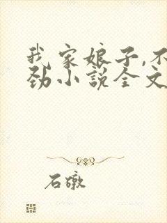 我家娘子,不对劲小说全文免费阅读