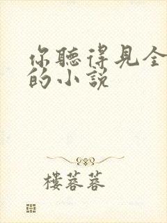 你听得见全免费的小说