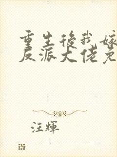 重生后我嫁给了反派大佬免费阅读