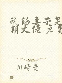 我的妻子是大乘期大佬 免费看