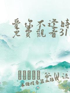爱你不逢时短剧免费观看31集播放