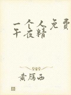一个人免费av午夜精