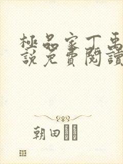 极品家丁禹岩小说免费阅读全文在线