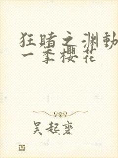 狂赌之渊动漫第一季樱花