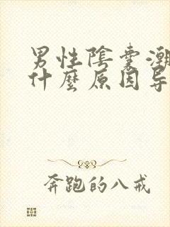 男性阴囊潮湿是什么原因导致的