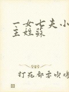 一女七夫小说女主姓苏