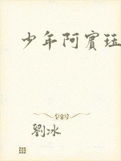 少年阿宾珏慧