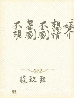 不是不想嫁 电视剧剧情介绍