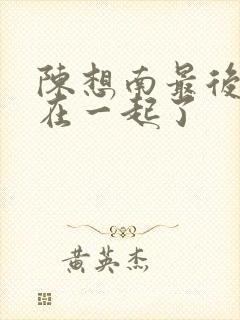 陈想南最后和谁在一起了