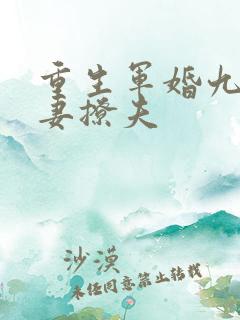 重生军婚九零辣妻撩夫