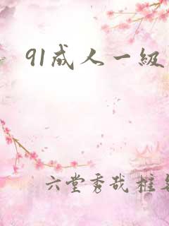 91成人一级片