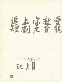 追上你就爱上我短剧免费观看