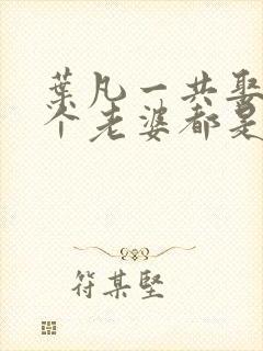 叶凡一共娶了几个老婆都是谁