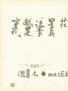 穿越流星花园之我是李真