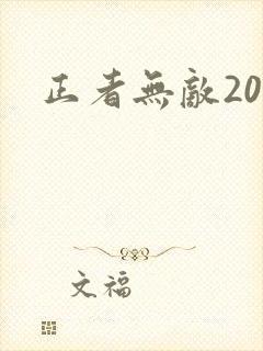 正者无敌20集