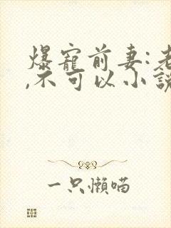 爆宠前妻:老公,不可以小说免费阅读