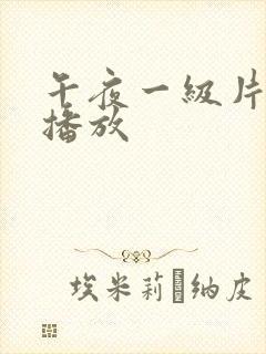 午夜一级片在线播放