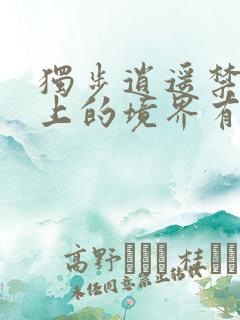 独步逍遥禁忌之上的境界有哪些