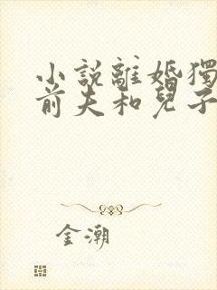 小说离婚独美,前夫和儿子悔断肠txt