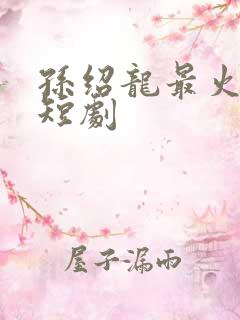 孙绍龙最火十部短剧