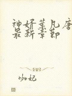 神婿叶凡唐若雪最新章节