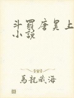 斗罗唐昊上唐三小说