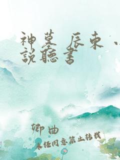 神墓 辰东 小说听书