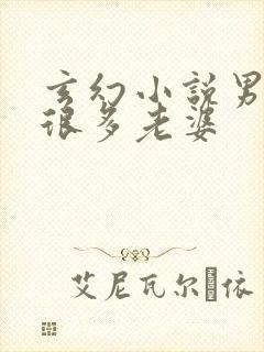 玄幻小说男主有很多老婆