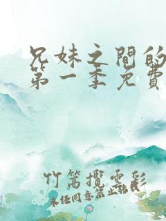 兄妹之间的秘密第一季免费观看全集