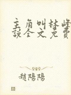 主角叫林峰的小说全文免费阅读