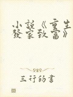 小说《重生九零发家致富》