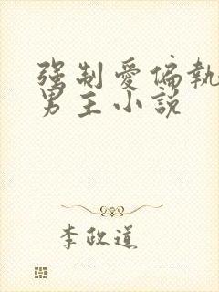 强制爱偏执疯双男主小说