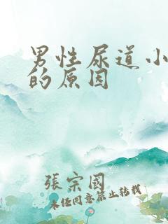 男性尿道小水泡的原因