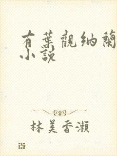 有叶观纳兰迦的小说