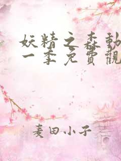 妖精之森动漫第一季免费观看