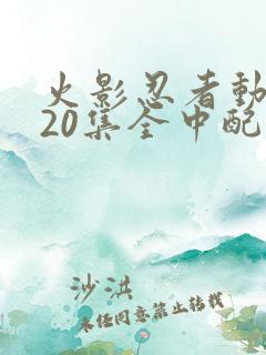 火影忍者动漫720集全中配版免费观看