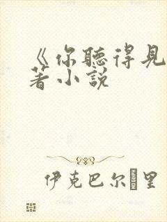 《你听得见》原著小说