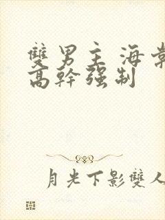 双男主 海棠 高干强制