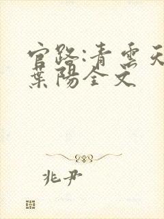 官路:青云天骄叶阳全文