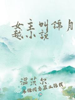 女主叫锦月的穿越小说