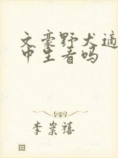 文豪野犬适合初中生看吗