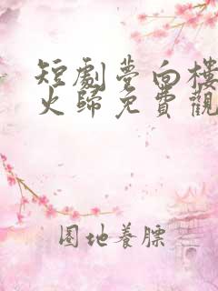 短剧梦向楼心灯火归免费观看