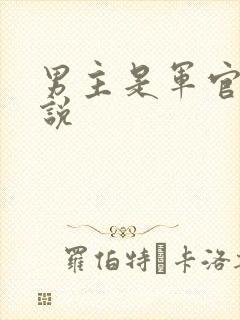 男主是军官的小说