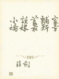 小说首辅家的小娇娘最新章节