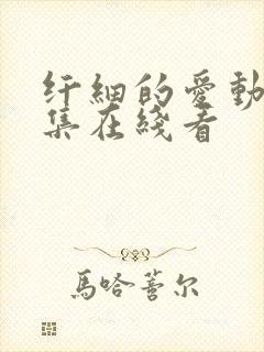 纤细的爱动漫全集在线看