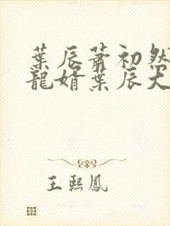 叶辰萧初然上门龙婿叶辰大结局