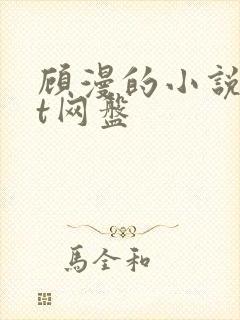 顾漫的小说txt网盘