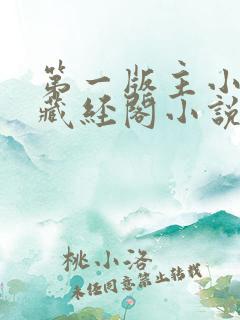 第一版主小说网藏经阁小说网