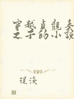 穿越贞观秦叔宝之子的小说