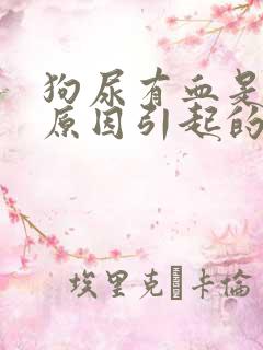 狗尿有血是什么原因引起的